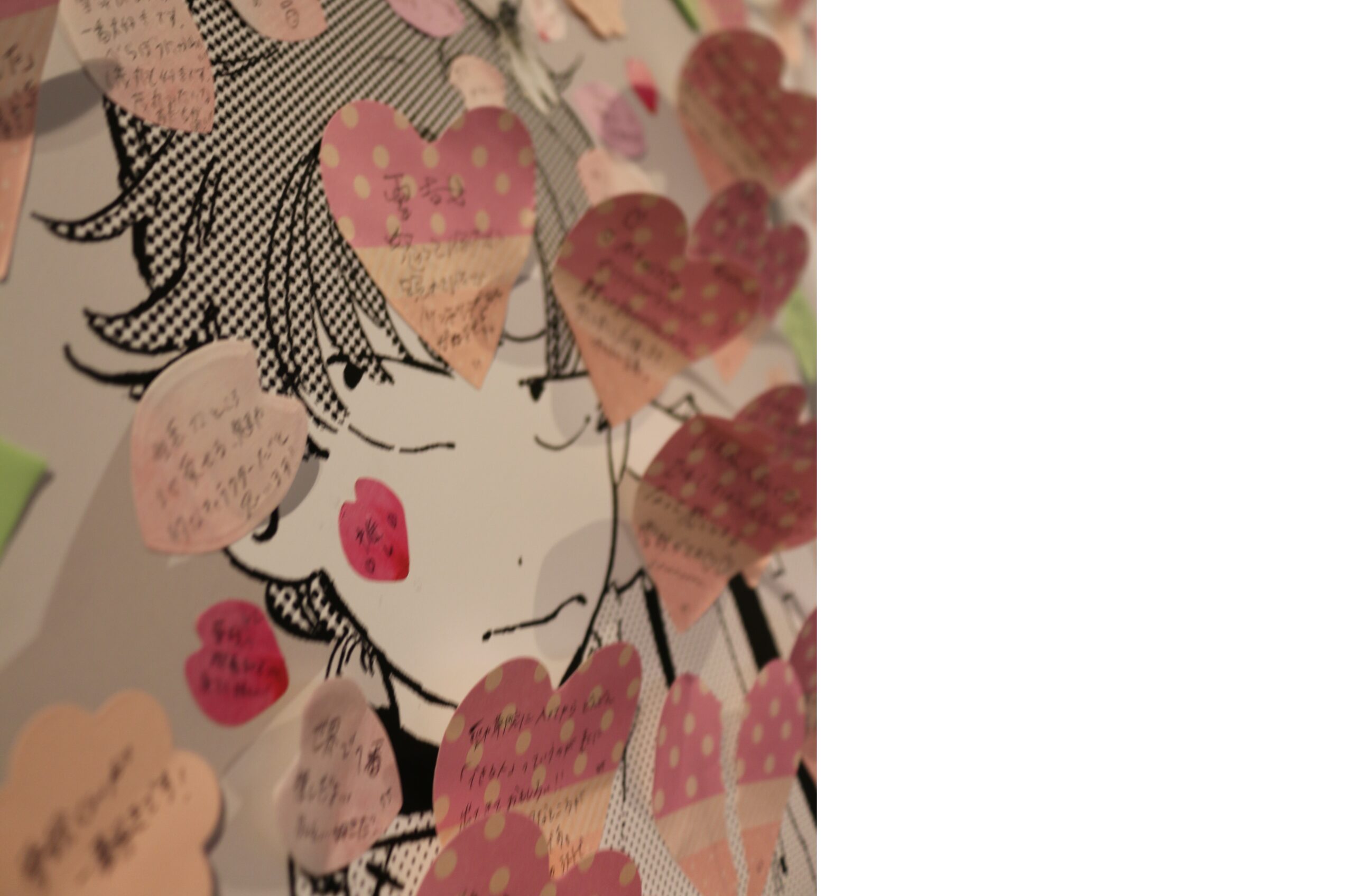 展示の様子写真4